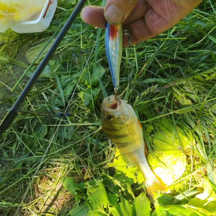 Minnow manivela wobbler jerkbait isca de pesca 8.8cm 9g isca artificial carkbait swimbait enfrentar para baixo pique carpa