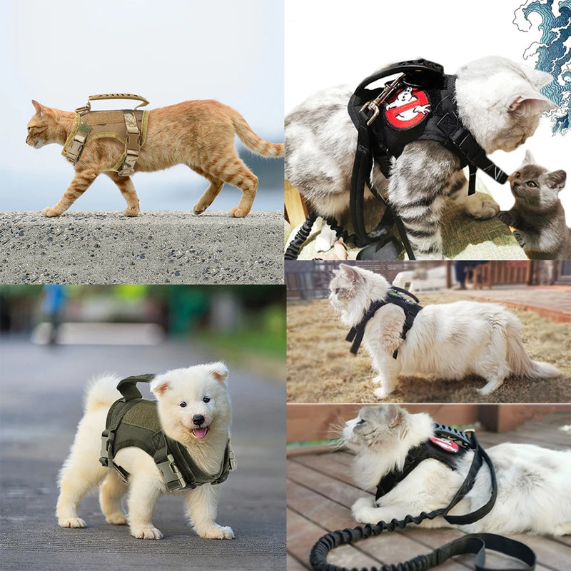 Arnês tático para gatos, para caminhada, à prova de fuga, ajustável, colete para animais de estimação, malha macia com alça de controle para gato grande, cachorro pequeno