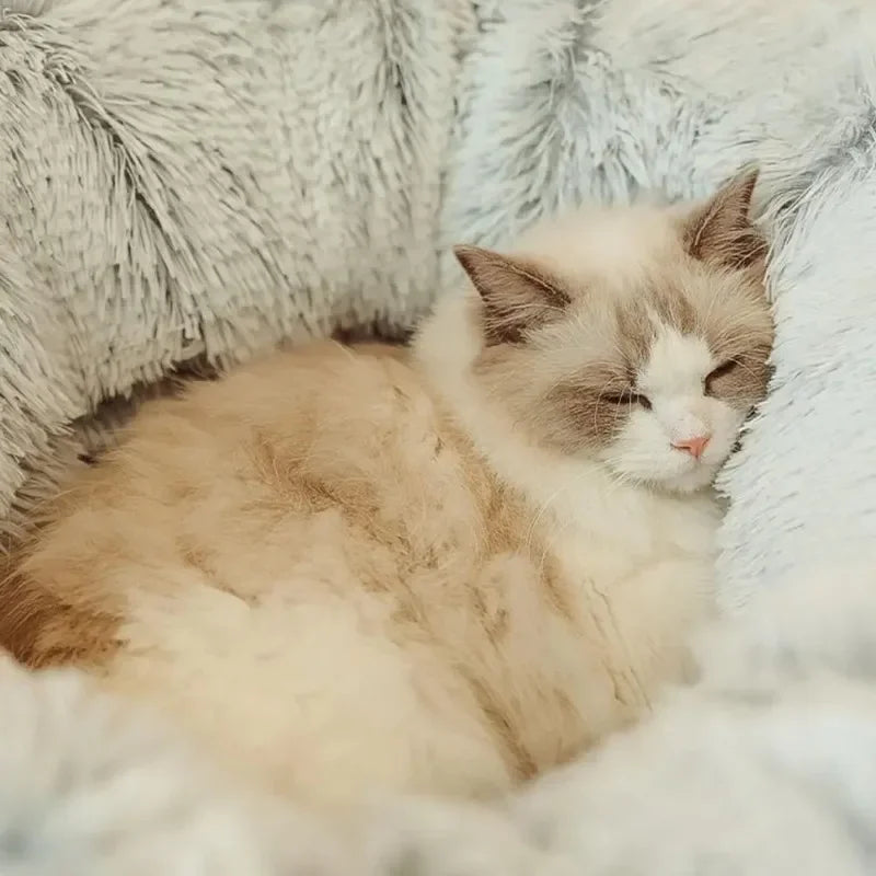 Cama de gato de pelúcia com túnel para gatos internos Cama de túnel de gato multifuncional com olho mágico Cama de gato de rosquinha fofa com túnel