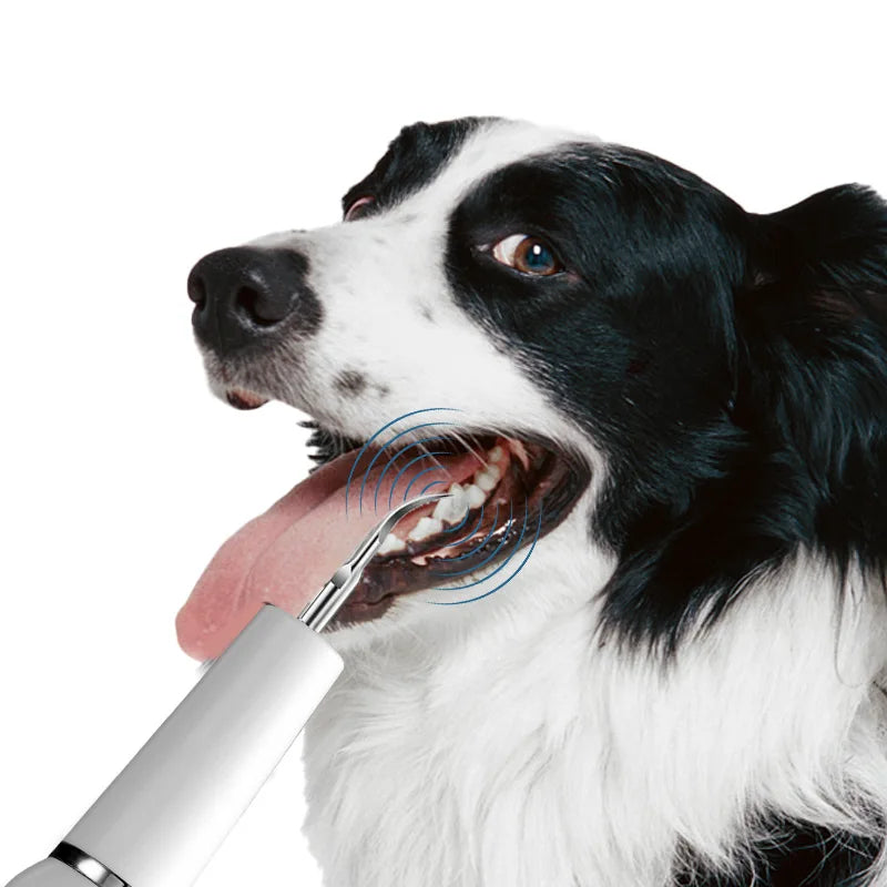 Dispositivo de cálculo de dente de cachorro, escova de dentes ultrassônica elétrica, raspador de dente de animal de estimação, ferramenta de limpeza de placa, kit de cuidados dentários para cães e gatos