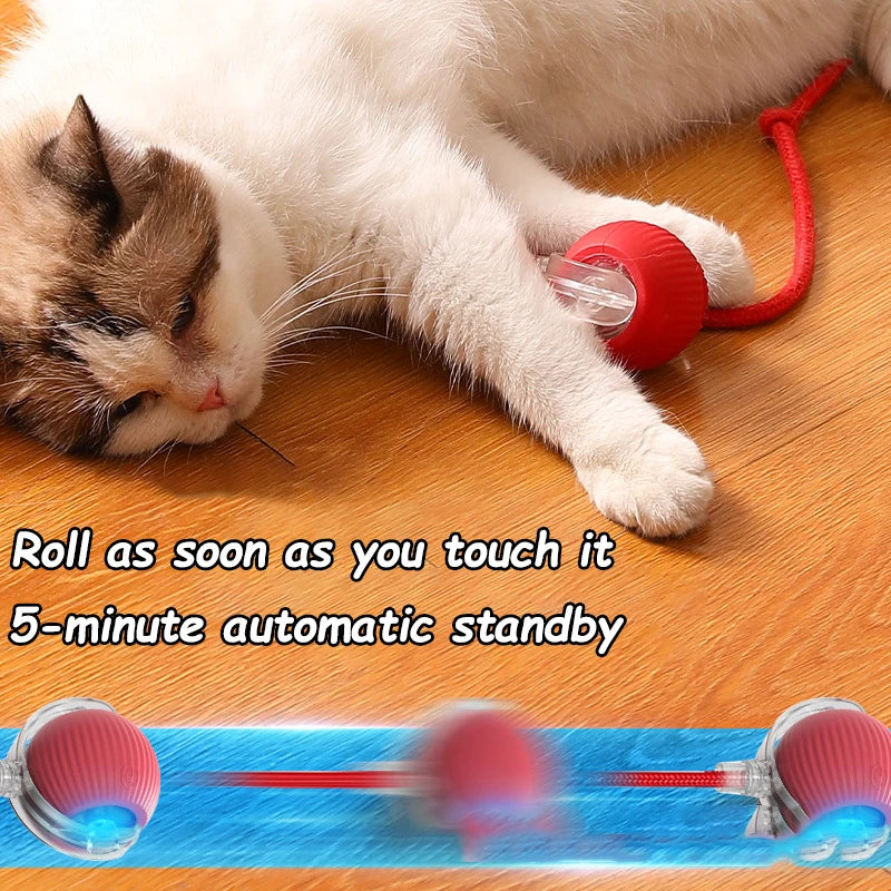 Gato bola interativa brinquedos bola de rolamento automático falso cauda recarregável inteligente animal de estimação brinquedo elétrico cão gato treinamento imitar mouse