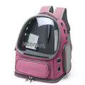Bolsa transparente para transportar gatos, mochila de viagem ao ar livre para gatos, cães pequenos, respirável, bolsa de transporte para gatos, suprimentos para animais de estimação