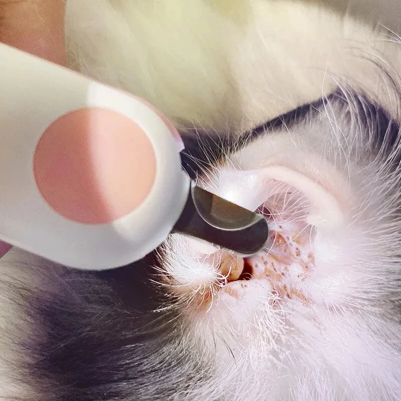 Luz led gato cão cortador de unhas profissional pet garra trimmer com bloqueio segurança filhote de cachorro gatinho animais cuidados aliciamento kit ferramenta