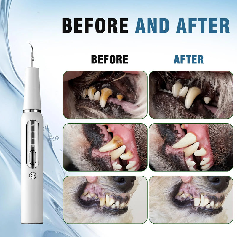 Dispositivo de cálculo de dente de cachorro, escova de dentes ultrassônica elétrica, raspador de dente de animal de estimação, ferramenta de limpeza de placa, kit de cuidados dentários para cães e gatos