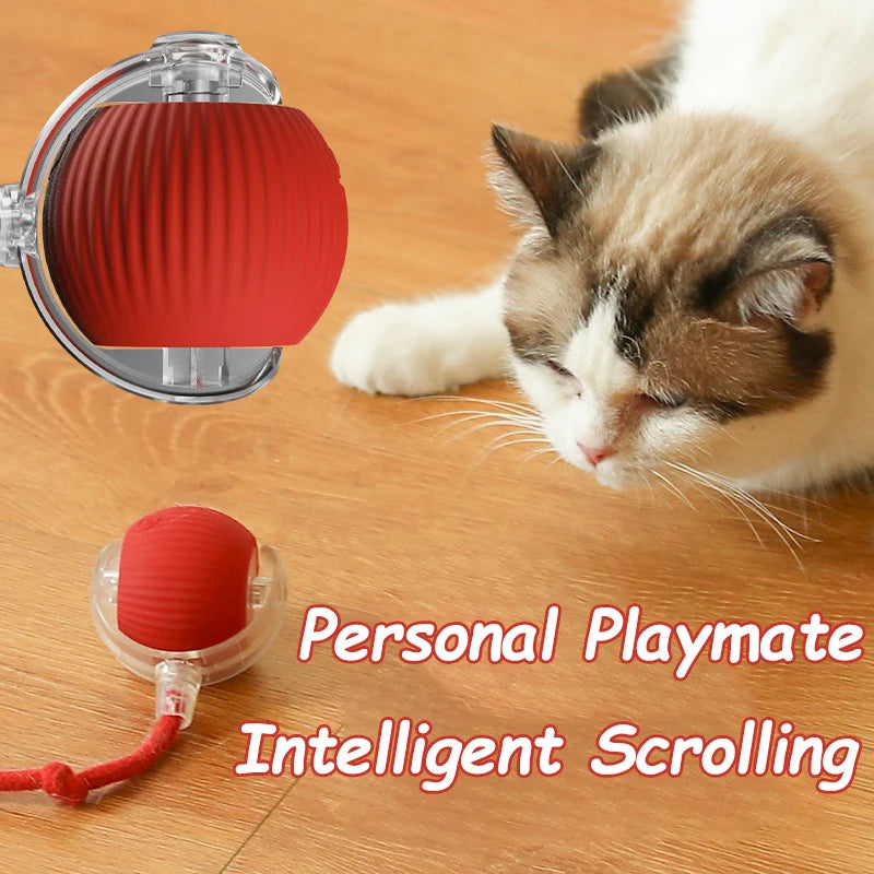 Gato bola interativa brinquedos bola de rolamento automático falso cauda recarregável inteligente animal de estimação brinquedo elétrico cão gato treinamento imitar mouse