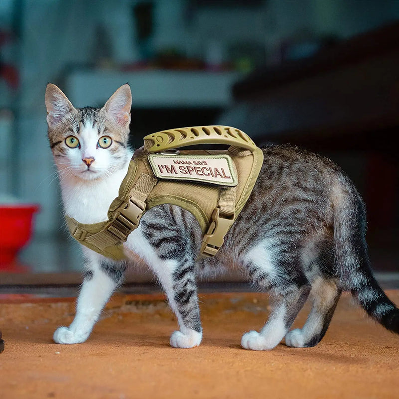 Arnês tático para gatos, para caminhada, à prova de fuga, ajustável, colete para animais de estimação, malha macia com alça de controle para gato grande, cachorro pequeno
