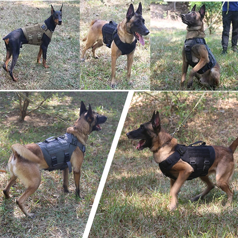 Colete militar tático para animais de estimação pastor alemão golden retriever treinamento tático arnês e trela conjunto para todas as raças cães