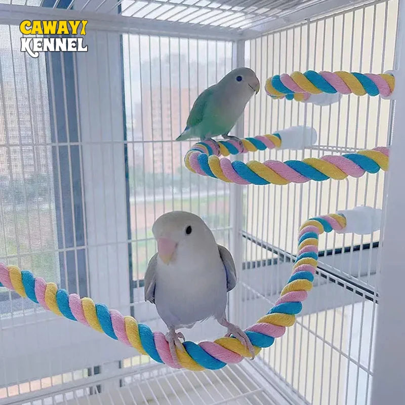 Pet pássaro mordida brinquedos papagaio cor algodão corda brinquedos elástico papagaio escalada brinquedos resistente pássaro balanço arnês gaiola brinquedo para animais de estimação balanço suporte